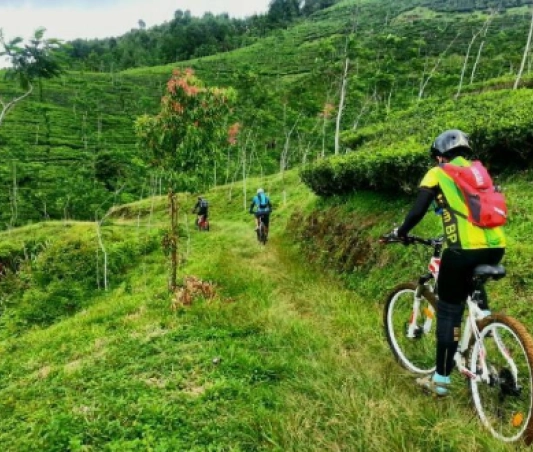 Cycling